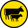 Road_Safety_Icons_14.png