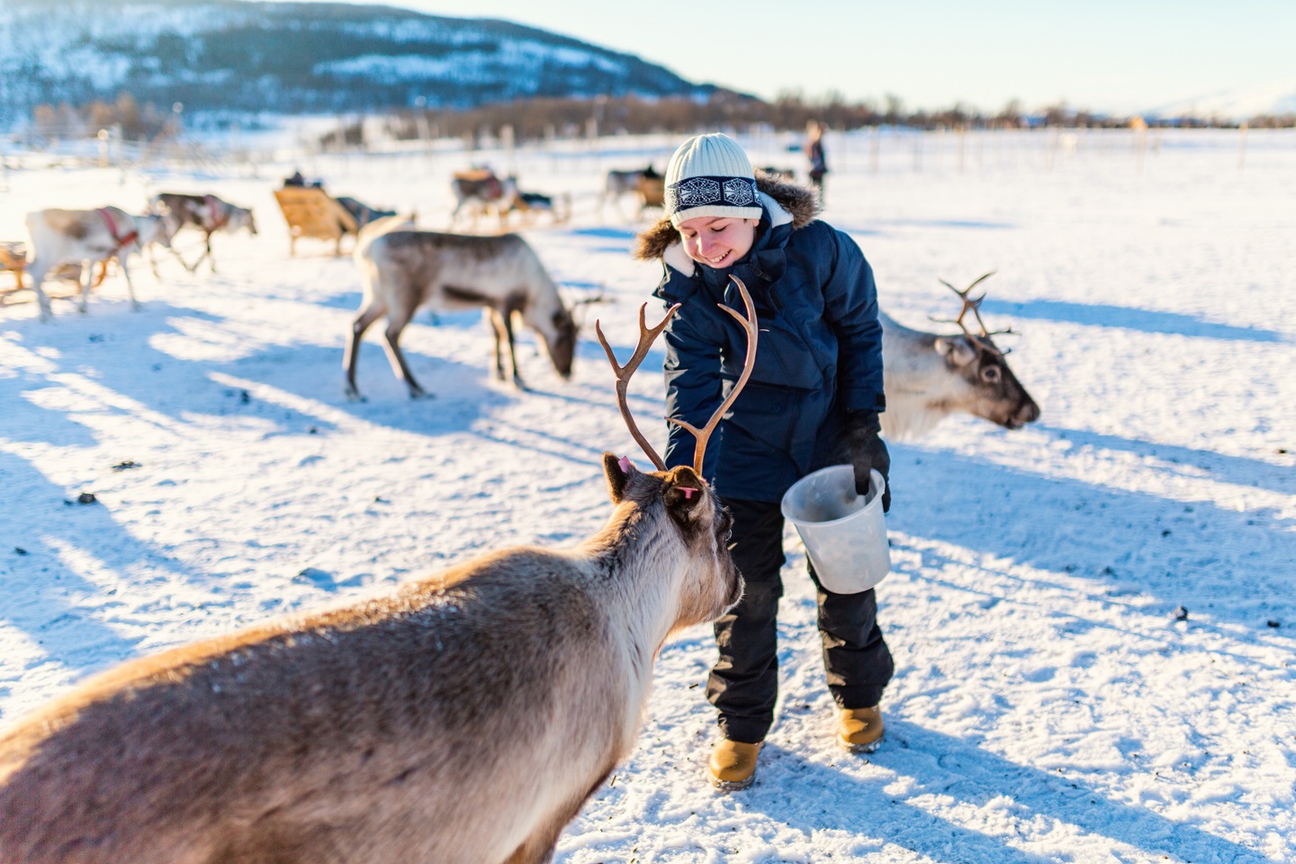 The Most Festive Places In Europe Lapland