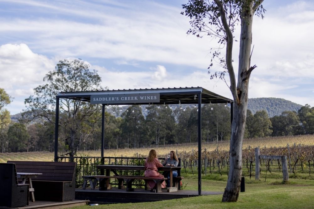 Two people sit under a pavilion in a vineyard sipping wine.