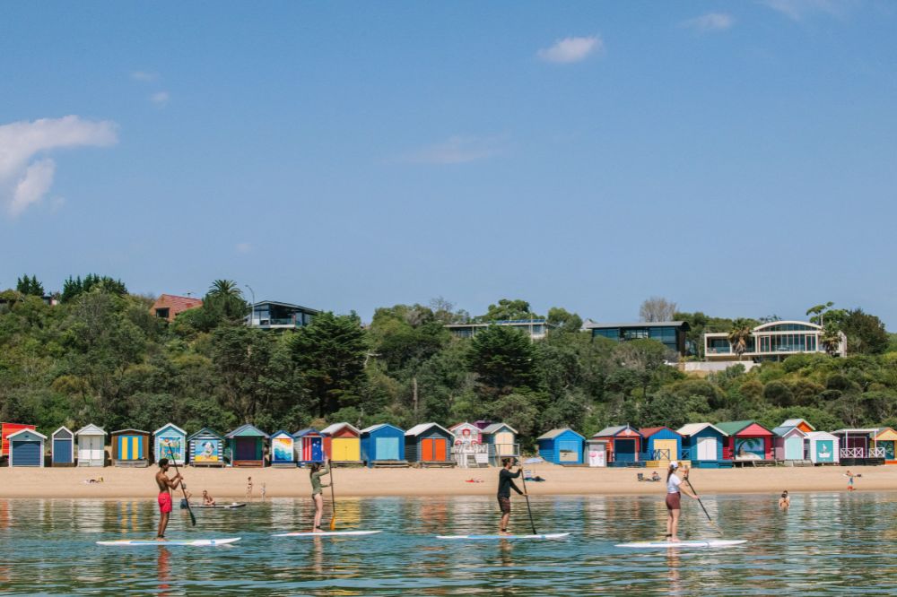 People stand up paddleboard in clear, calm water. In the background the beach is lined with colourful beach boxes.