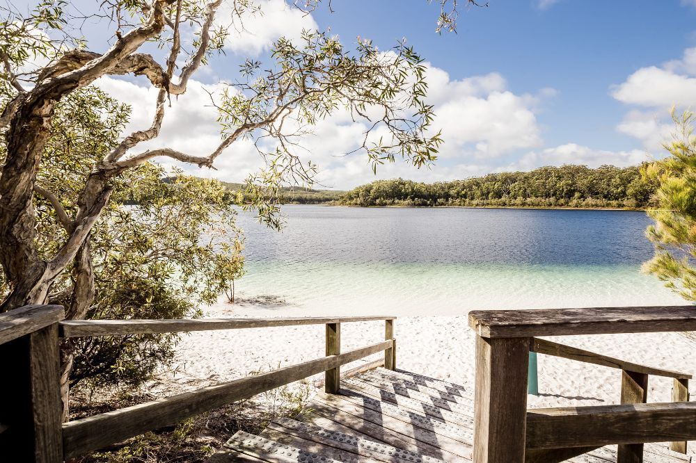 A set of stairs leading down to a beach with bright white sand and clear water. There are native tress surrounding