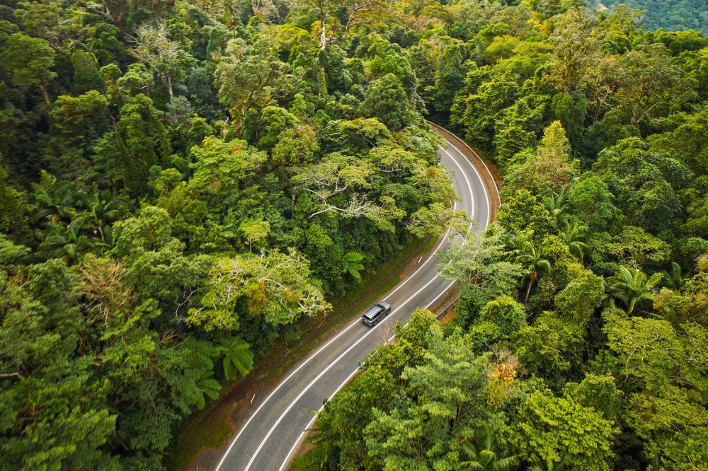 A winding road with a lone car, surrounded by tropical green trees.
