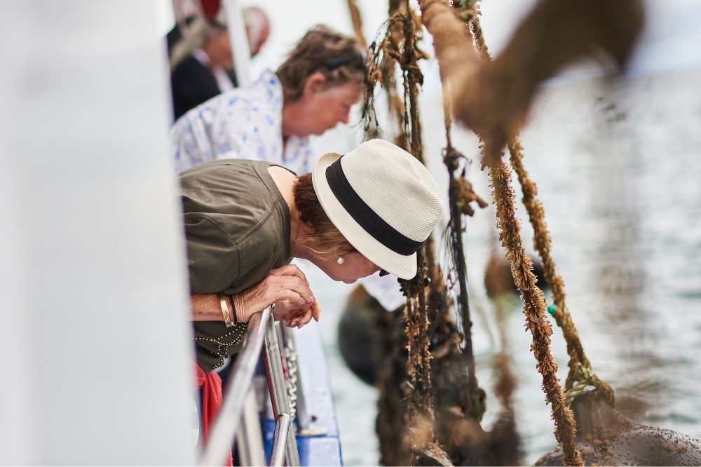 People lean outside a boat as mussel farmers raise mussels from the ocean.