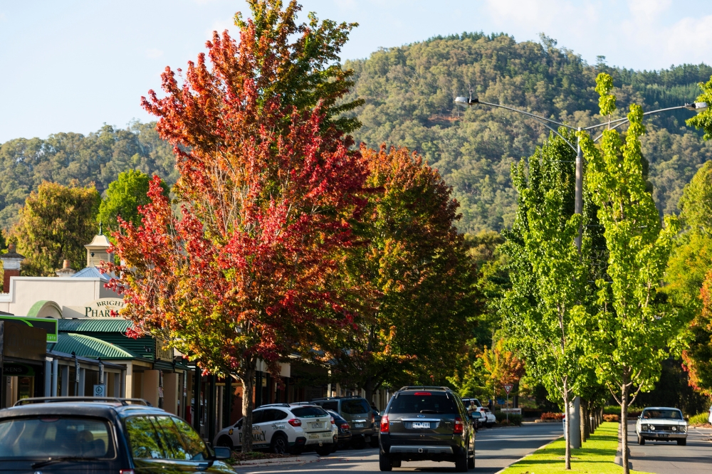 A street lined with colourful autumn leaves