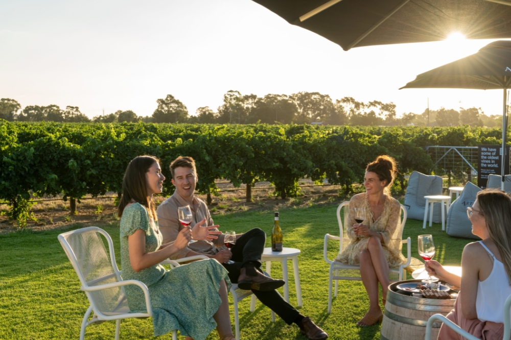 A group of people sit outside drinking red wine with vineyards in the background
