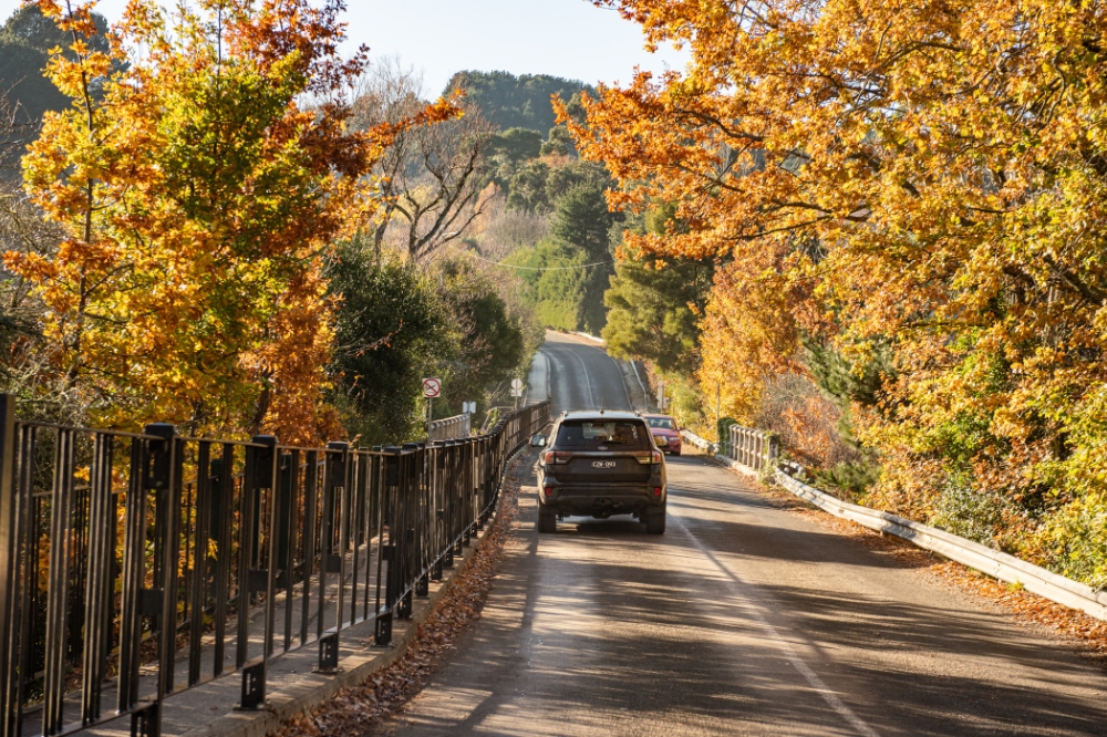 Two cars drive on either side of the road along a bridge lined with yellow and orange autumn trees