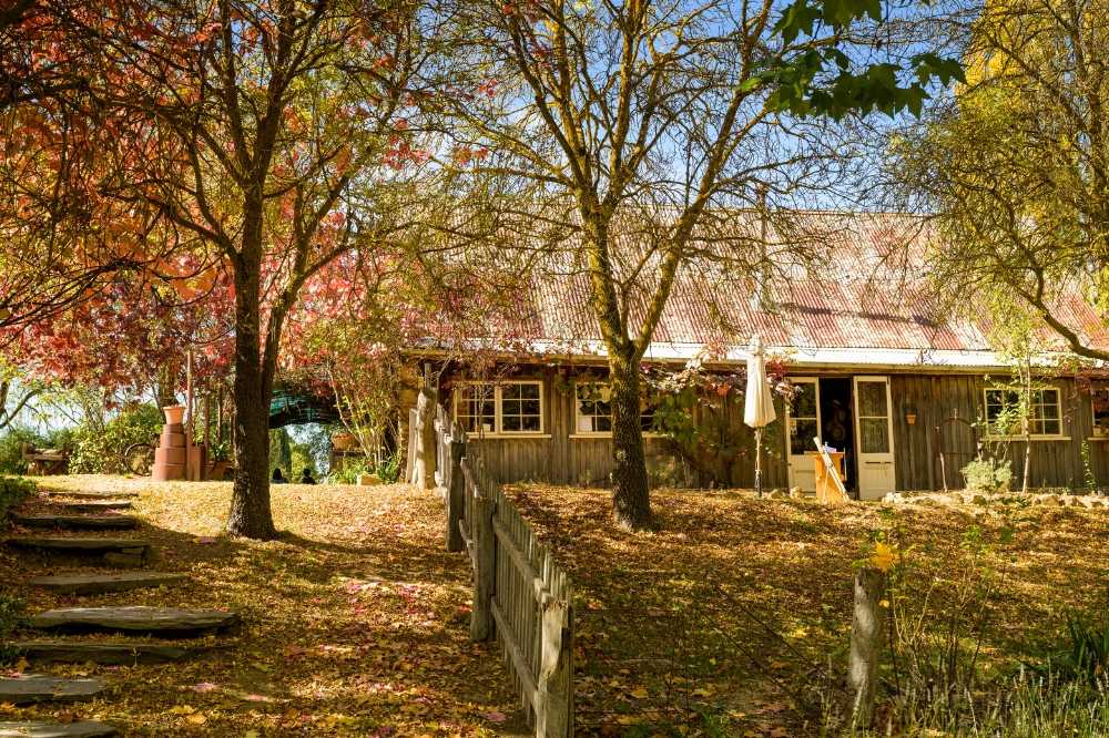 A wooden building surrounded by trees with autumn leaves
