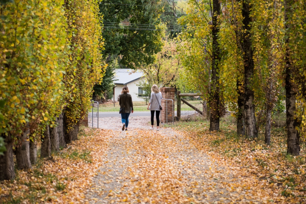 Two people walk though a path covered in fallen autumn leaves