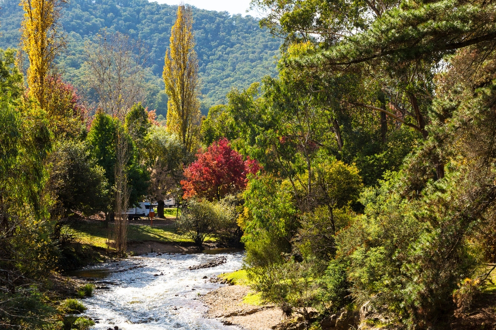 A river flows with trees and mountains surrounding