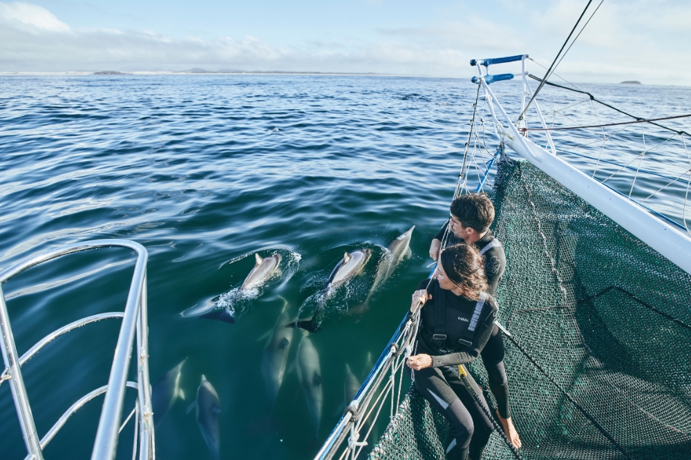 Couple enjoys a dolphin cruise and swim experience with Dolphin Swim Australia in Port Stephens.
