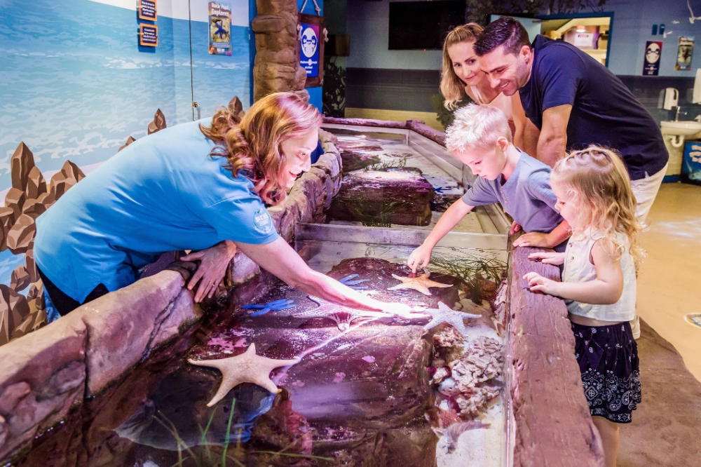 Kids look at starfish in an enclosure