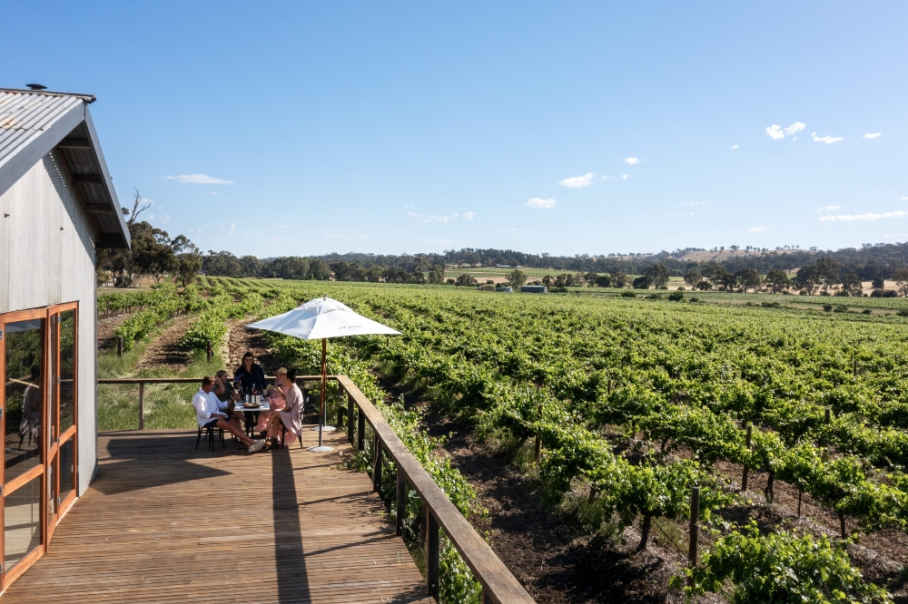 A group of people sit at a table on a deck overlooking vineyards.