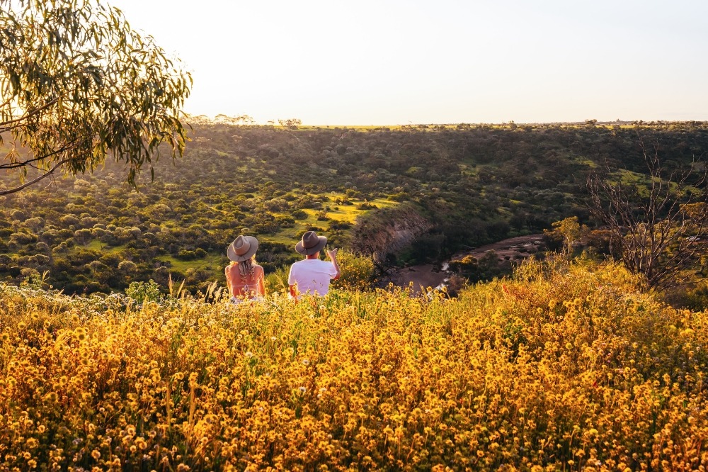 People sit amongst yellow wildflowers