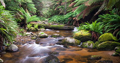 RT_ArthurRiver_400x210_v1.jpg