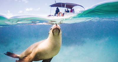 RT_Streaky-Bay_400x210_v1.jpg