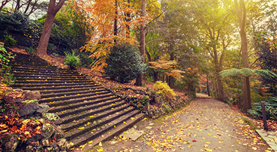 Alfred Nicholas Gardens