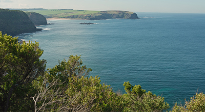 Cape-Schanck-Lighthouse-Cliffs.jpg