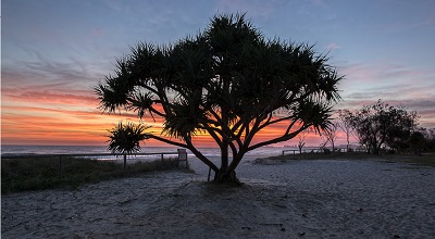 Currumbin beach