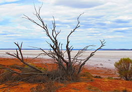 South Australia