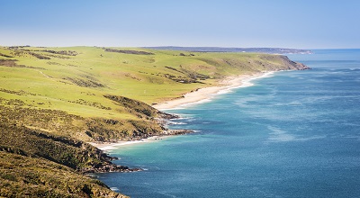 McLaren coast