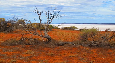 Lake Gairdner