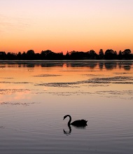 Swan-River-2.jpg